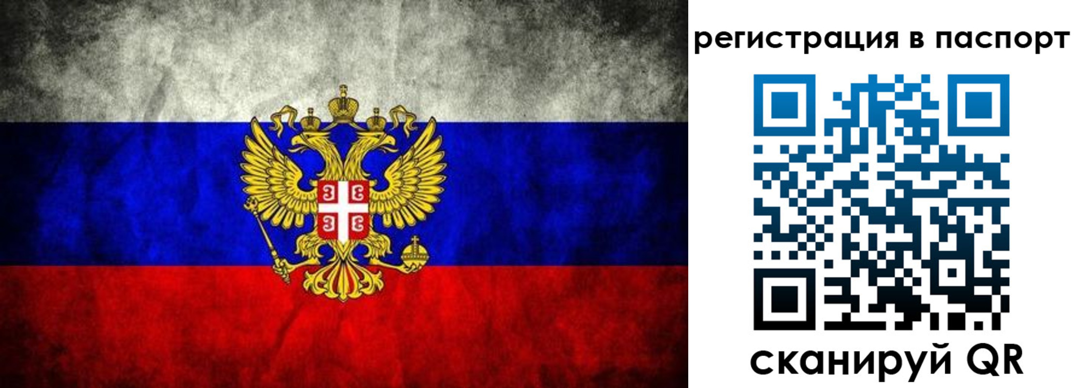 временная регистрация купить в Почепе